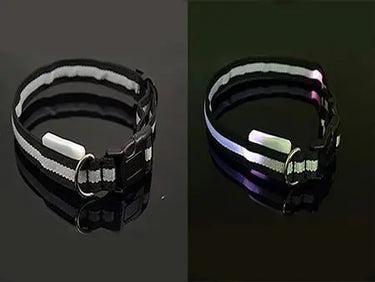LED Pet Safety Collar-Your Soul Place